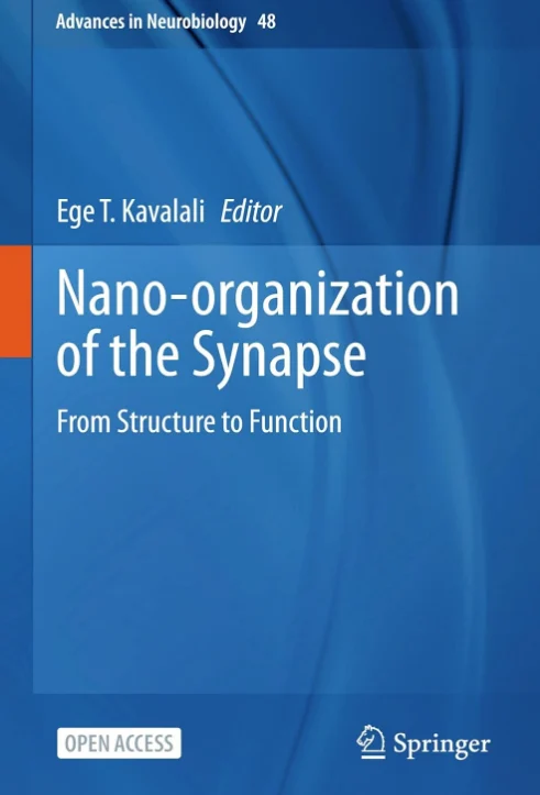 Nano-organization of the Synapse From Structure to Function